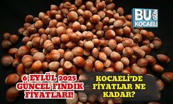 6 Eylül 2025 Güncel Fındık Fiyatları! Kocaeli’de Fiyatlar Ne Kadar?