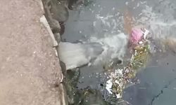 Denizi Kirleten Belediyelere 4 Milyon 11 Bin Lira Ceza