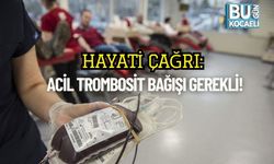 Hayati Çağrı: Acil Trombosit Bağışı Gerekli!