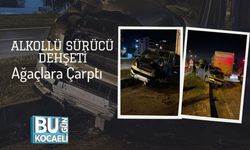 Alkollü Sürücü Dehşeti Ağaçlara Çarptı