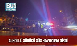 Alkollü Sürücü Süs Havuzuna Girdi