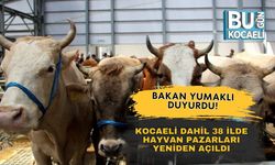 Bakan Yumaklı Duyurdu! Kocaeli Dahil 38 İlde Hayvan Pazarları Yeniden Açıldı