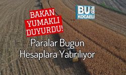 Bakan Yumaklı Duyurdu! Paralar Bugün Hesaplara Yatırılıyor