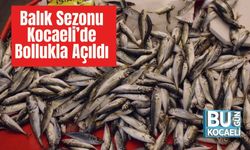 Balık Sezonu Kocaeli’de Bollukla Açıldı