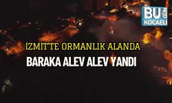 İzmit’te Ormanlık Alanda Baraka Alev Alev Yandı