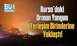 Bursa’daki Orman Yangını Yerleşim Birimlerine Yaklaştı!