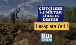 Çiftçilere 4,5 Milyar Liralık Destek Hesaplara Yattı!