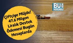 Çiftçiye Müjde! 47,6 Milyon Liralık Destek Ödemesi Bugün Hesaplarda