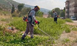 Körfez’in Yeşil Alanlarına Bakım