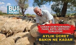 Çoban Ücretlerindeki Fahiş Artış Üreticiyi Zorluyor! Aylık Ücret Bakın Ne Kadar