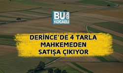 Derince’de 4 Tarla Mahkemeden Satışa Çıkıyor