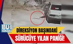 Direksiyon Başındaki Sürücüye Yılan Paniği!