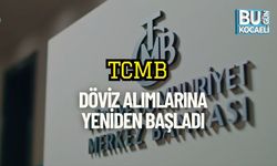 TCMB, Döviz Alımlarına Yeniden Başladı