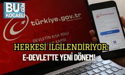 Herkesi İlgilendiriyor: E-Devlet'te Yeni Dönem!