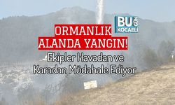 Ormanlık Alanda Yangın! Ekipler Havadan ve Karadan Müdahale Ediyor