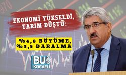 Ekonomi Yükseldi, Tarım Düştü: %4,8 Büyüme, %3,5 Daralma