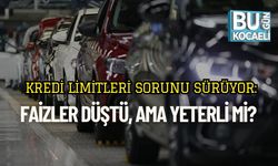 Kredi Limitleri Sorunu Sürüyor: Faizler Düştü, Ama Yeterli Mi?