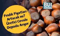 Fındık Fiyatları Yükselecek mi? Üretici Cevabı Depoda Arıyor