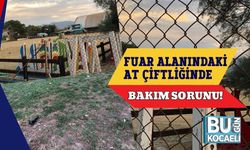 Fuar Alanındaki At Çiftliğinde Bakım Sorunu!