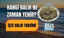 Hangi Balık Ne Zaman Yenir?