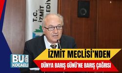İzmit Meclisi’nden Dünya Barış Günü’ne Barış Çağrısı