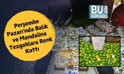 İzmit Perşembe Pazarı'nda Balık ve Mandalina Tezgahlara Renk Kattı
