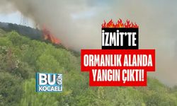 İzmit’te Ormanlık Alanda Yangın Çıktı!