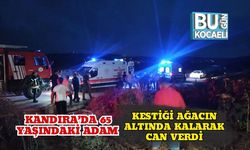 Kandıra’da 65 Yaşındaki Adam Kestiği Ağacın Altında Kalarak Can Verdi