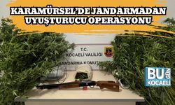 Karamürsel’de Jandarmadan Uyuşturucu Operasyonu
