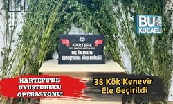 Kartepe’de Uyuşturucu Operasyonu! 38 Kök Kenevir Ele Geçirildi