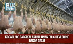 Kocaeli’de Fabrikaları Bulunan Piliç Devlerine Rekor Ceza!