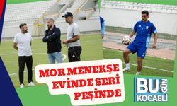 Mor Menekşe Evinde Seri Peşinde