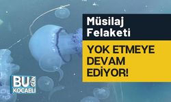 Müsilaj Felaketi Yok Etmeye Devam Ediyor!