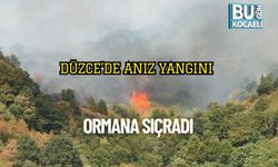 Düzce’de Anız Yangını Ormana Sıçradı