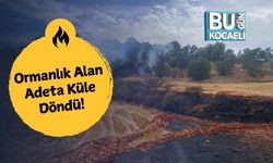 Ormanlık Alan Adeta Küle Döndü!