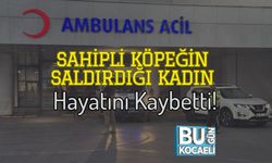 Sahipli Köpeğin Saldırdığı Kadın Hayatını Kaybetti!