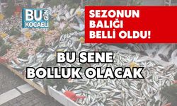 Sezonun Balığı Belli Oldu! Bu Sene Bolluk Olacak