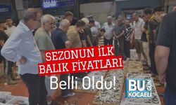 Sezonun İlk Balık Fiyatları Belli Oldu!
