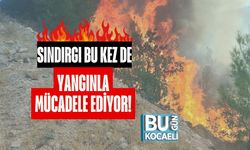 Sındırgı Bu Kez de Yangınla Mücadele Ediyor!