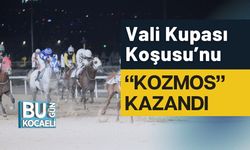 Vali Kupası Koşusu’nu “Kozmos” Kazandı