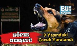 Yine Köpek Dehşeti! 9 Yaşındaki Çocuk Yaralandı