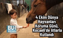 4 Ekim Dünya Hayvanları Koruma Günü, Kocaeli’de Atlarla Kutlandı