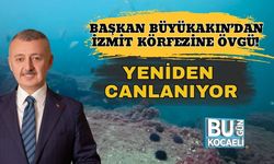 Başkan Büyükakın’dan İzmit Körfezine Övgü! Yeniden Canlanıyor