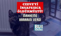 Cezve'yi İnsafsızca Öldürmüştü! Mahkeme Kararını Verdi