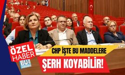 CHP İşte Bu Maddelere Şerh Koyabilir!