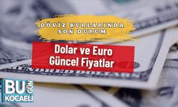 Döviz Kurlarında Son Durum: Dolar ve Euro Güncel Fiyatlar
