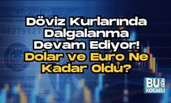 Döviz Kurlarında Dalgalanma Devam Ediyor! Dolar ve Euro Ne Kadar Oldu?