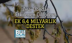 Zirai Dondan Etkilenen Çiftçilere Ek 6,4 Milyarlık Destek