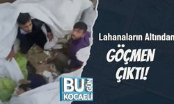 Lahanaların Altından Göçmen Çıktı!