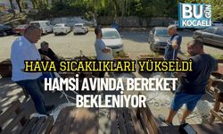 Hava Sıcaklıkları Yükseldi, Hamsi Avında Bereket Bekleniyor